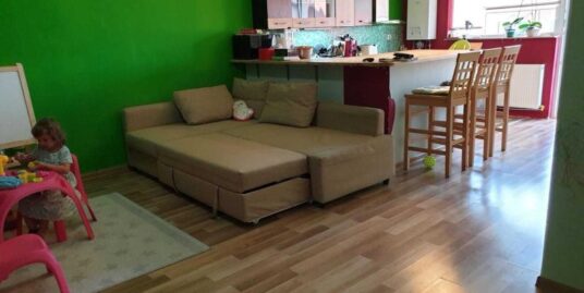 Apartament 2 camere in Floresti