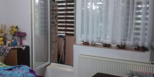Apartament 1 camera in cartier Gruia