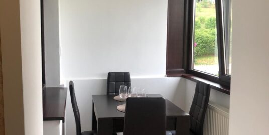 Apartament 1 camera in Baciu