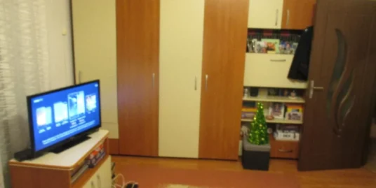Apartament 1 camera in Floresti