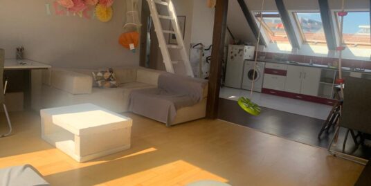 Apartament 3 camere pe 2 nivele în Buna Ziua
