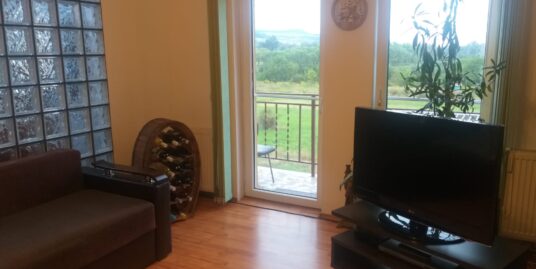 Apartament 2 camere decomandat in Floresti