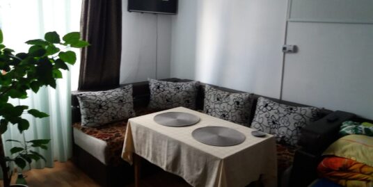 Apartament 1 camera zona Garii